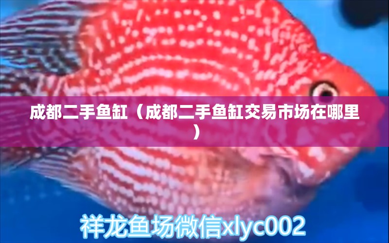 成都二手魚(yú)缸（成都二手魚(yú)缸交易市場(chǎng)在哪里）