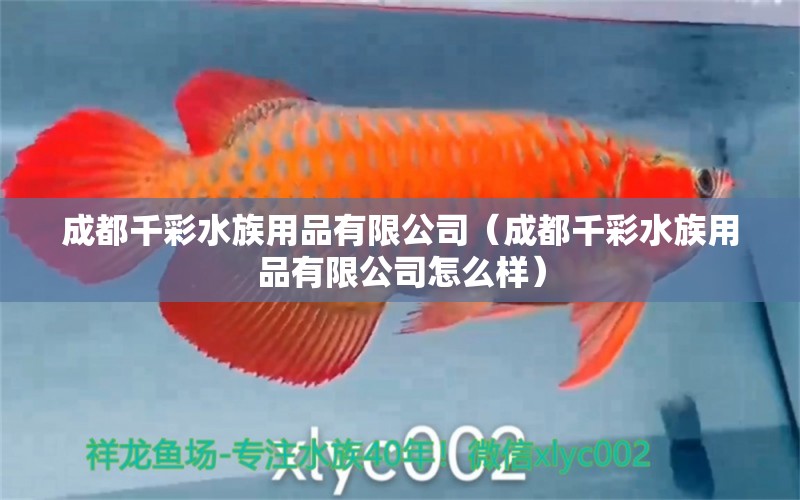 成都千彩水族用品有限公司（成都千彩水族用品有限公司怎么樣）