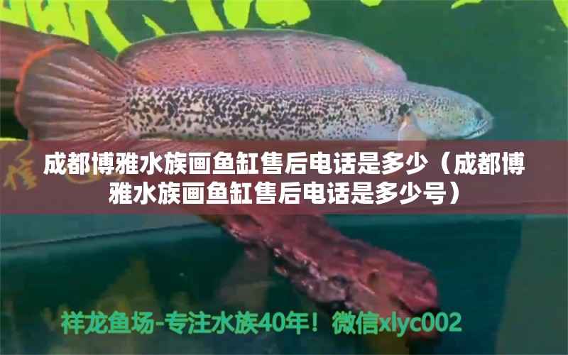 成都博雅水族畫魚缸售后電話是多少（成都博雅水族畫魚缸售后電話是多少號(hào)） 白玉紅龍魚