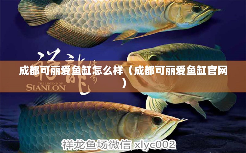 成都可麗愛魚缸怎么樣（成都可麗愛魚缸官網(wǎng)） iwish愛唯希品牌魚缸