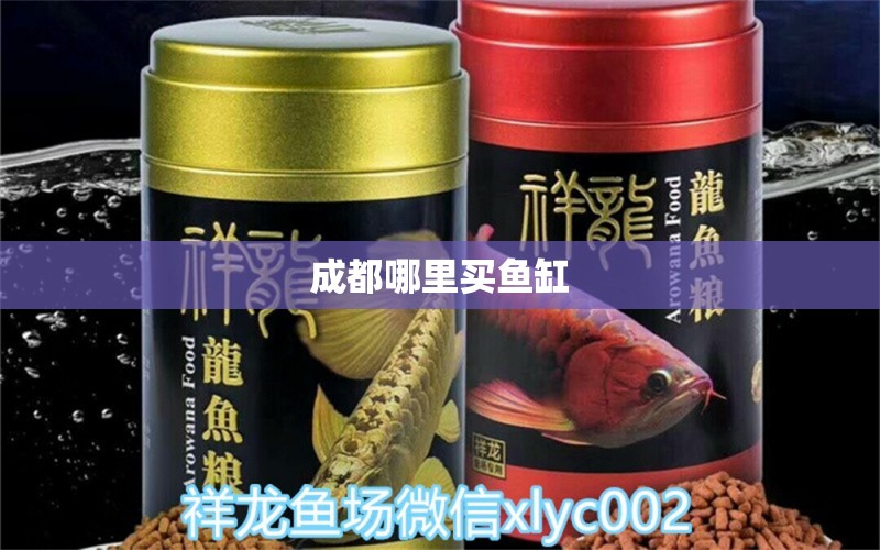 成都哪里買魚缸 祥龍魚場(chǎng)