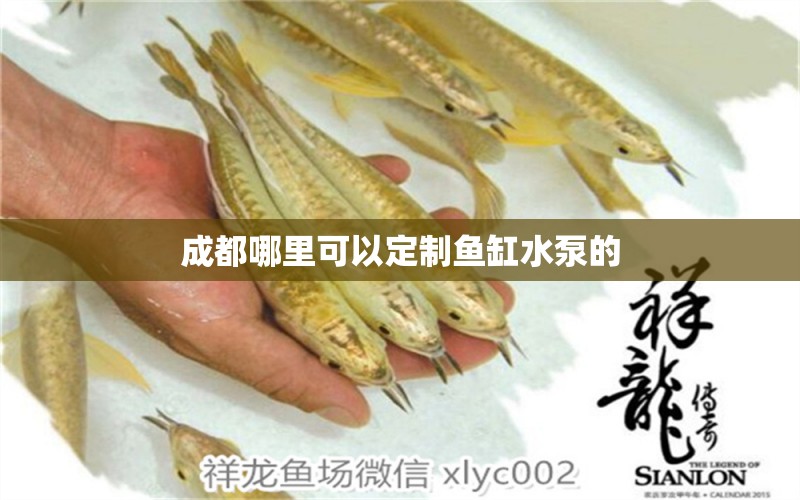 成都哪里可以定制魚(yú)缸水泵的