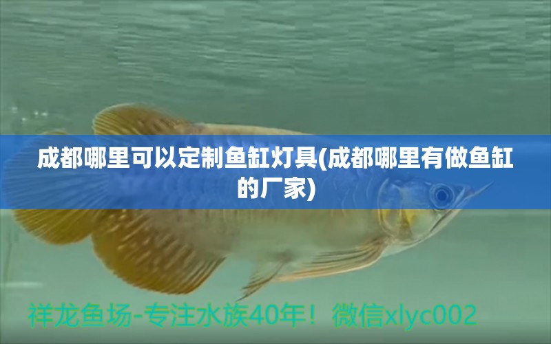 成都哪里可以定制魚缸燈具(成都哪里有做魚缸的廠家) 丹頂錦鯉魚