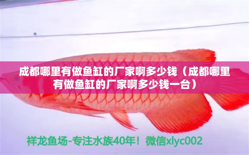 成都哪里有做魚(yú)缸的廠家啊多少錢(qián)（成都哪里有做魚(yú)缸的廠家啊多少錢(qián)一臺(tái)）