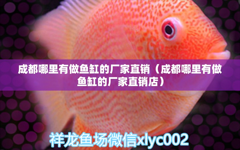 成都哪里有做魚缸的廠家直銷（成都哪里有做魚缸的廠家直銷店）