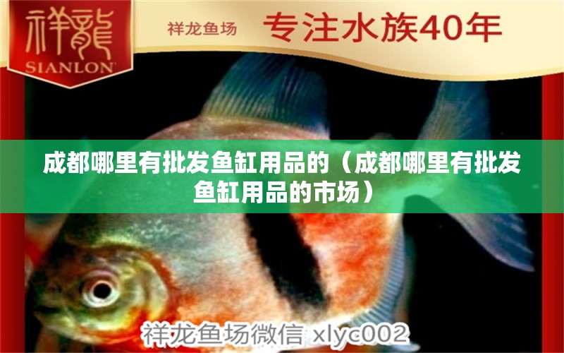 成都哪里有批發(fā)魚(yú)缸用品的（成都哪里有批發(fā)魚(yú)缸用品的市場(chǎng)） 其他品牌魚(yú)缸