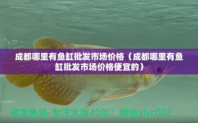 成都哪里有魚(yú)缸批發(fā)市場(chǎng)價(jià)格（成都哪里有魚(yú)缸批發(fā)市場(chǎng)價(jià)格便宜的） 其他品牌魚(yú)缸