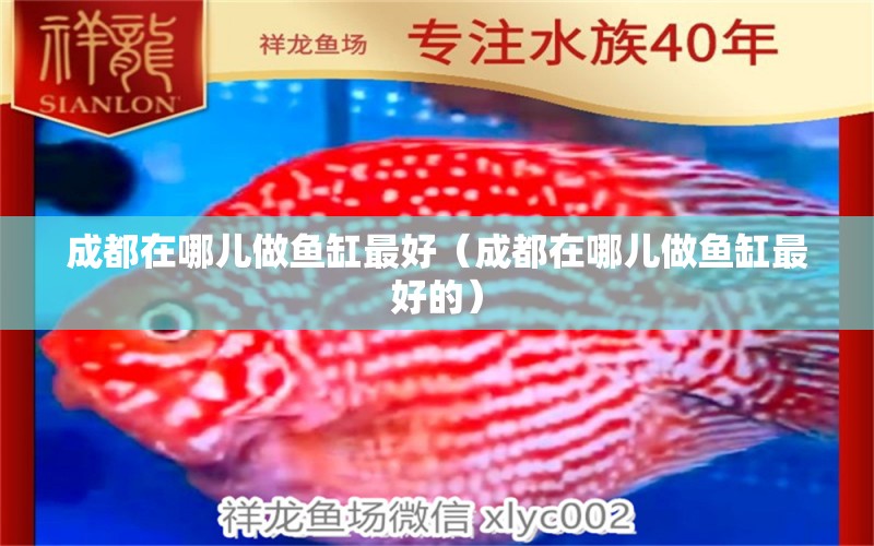 成都在哪兒做魚缸最好（成都在哪兒做魚缸最好的）