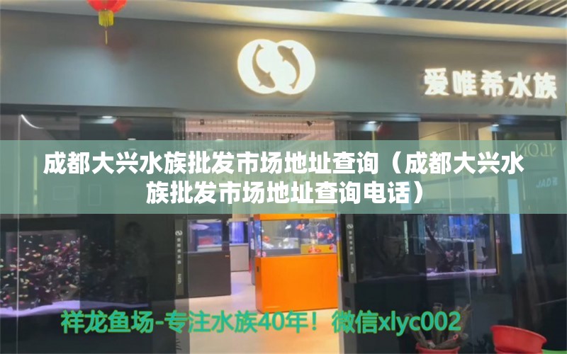 成都大興水族批發(fā)市場地址查詢（成都大興水族批發(fā)市場地址查詢電話） 觀賞魚水族批發(fā)市場