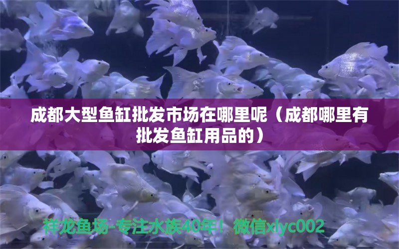 成都大型魚缸批發(fā)市場在哪里呢（成都哪里有批發(fā)魚缸用品的）