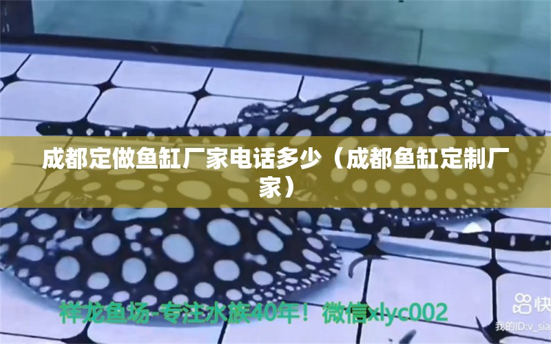 成都定做魚缸廠家電話多少（成都魚缸定制廠家）