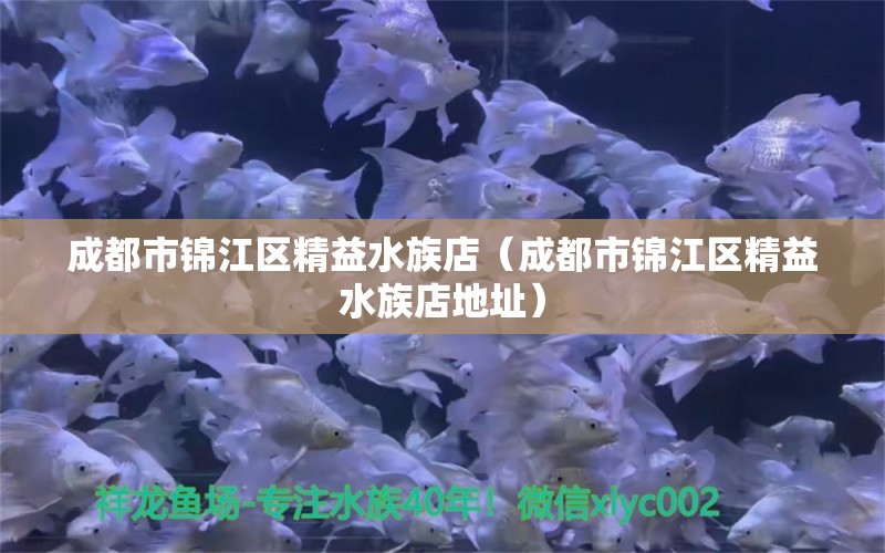 成都市錦江區(qū)精益水族店（成都市錦江區(qū)精益水族店地址） 全國水族館企業(yè)名錄