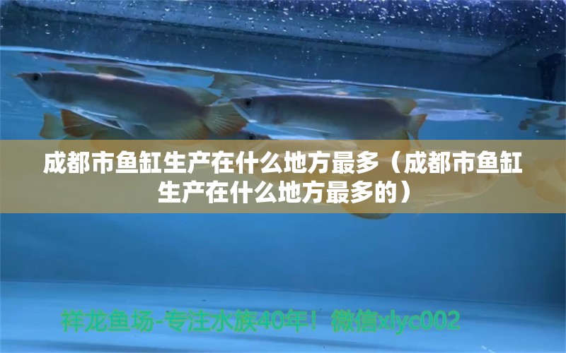 成都市魚缸生產(chǎn)在什么地方最多（成都市魚缸生產(chǎn)在什么地方最多的）