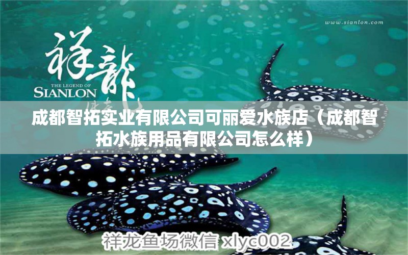 成都智拓實(shí)業(yè)有限公司可麗愛水族店（成都智拓水族用品有限公司怎么樣） 水族用品