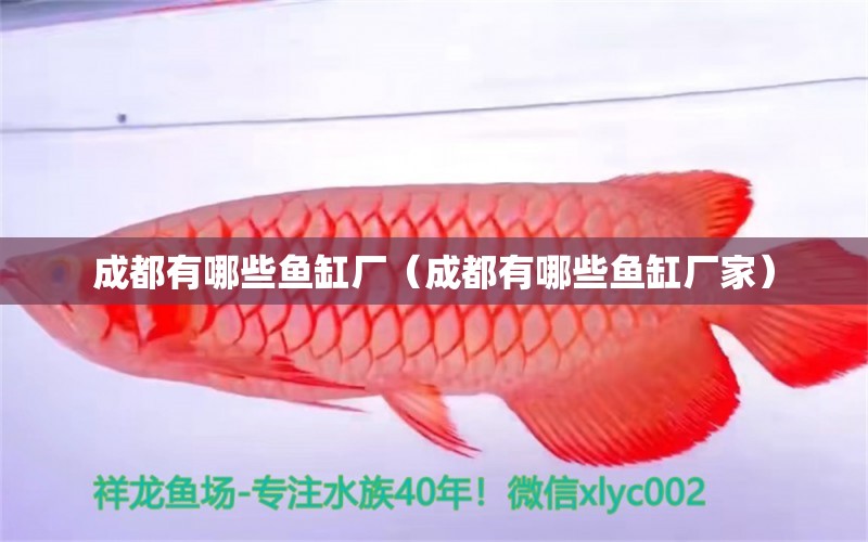 成都有哪些魚缸廠（成都有哪些魚缸廠家）