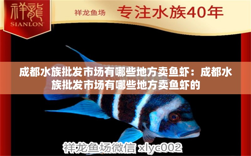 成都水族批發(fā)市場有哪些地方賣魚蝦：成都水族批發(fā)市場有哪些地方賣魚蝦的 觀賞魚水族批發(fā)市場