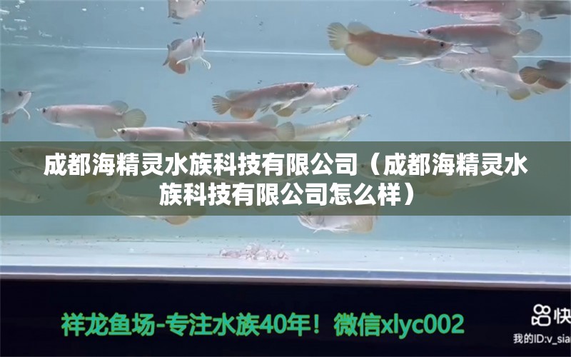 成都海精靈水族科技有限公司（成都海精靈水族科技有限公司怎么樣）