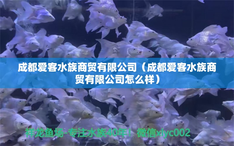 成都愛客水族商貿(mào)有限公司（成都愛客水族商貿(mào)有限公司怎么樣） 全國水族館企業(yè)名錄