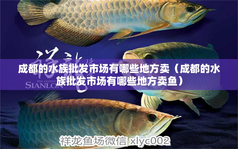 成都的水族批發(fā)市場有哪些地方賣（成都的水族批發(fā)市場有哪些地方賣魚）