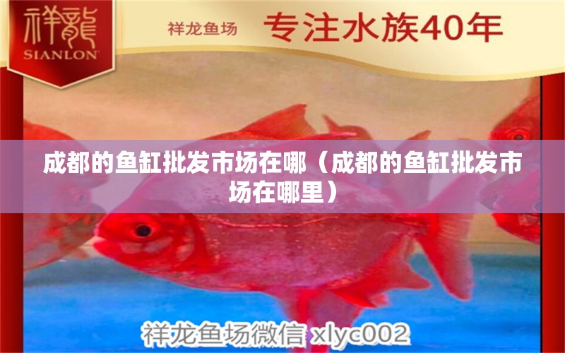 成都的魚缸批發(fā)市場在哪（成都的魚缸批發(fā)市場在哪里） 其他品牌魚缸