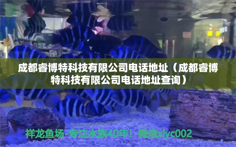 成都睿博特科技有限公司電話地址（成都睿博特科技有限公司電話地址查詢）