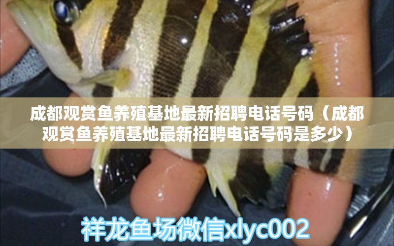 成都觀賞魚養(yǎng)殖基地最新招聘電話號(hào)碼（成都觀賞魚養(yǎng)殖基地最新招聘電話號(hào)碼是多少）