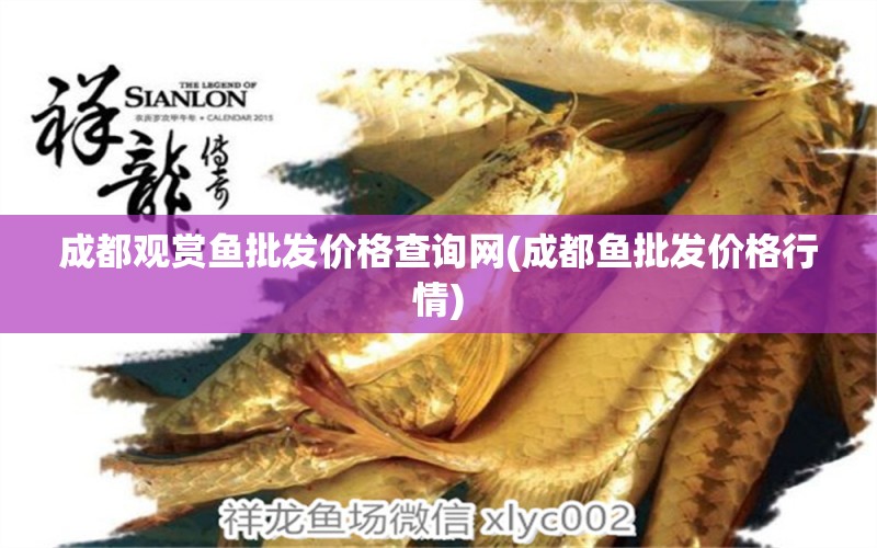 成都觀賞魚(yú)批發(fā)價(jià)格查詢網(wǎng)(成都魚(yú)批發(fā)價(jià)格行情)