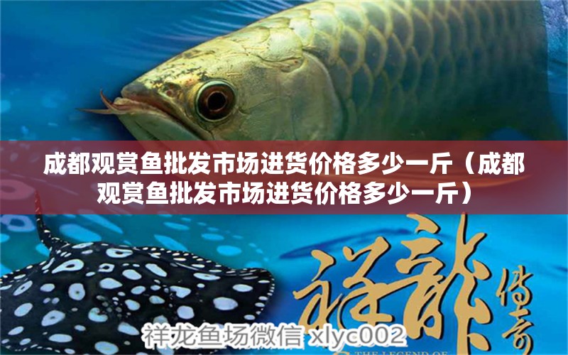 成都觀賞魚(yú)批發(fā)市場(chǎng)進(jìn)貨價(jià)格多少一斤（成都觀賞魚(yú)批發(fā)市場(chǎng)進(jìn)貨價(jià)格多少一斤） 觀賞魚(yú)批發(fā)