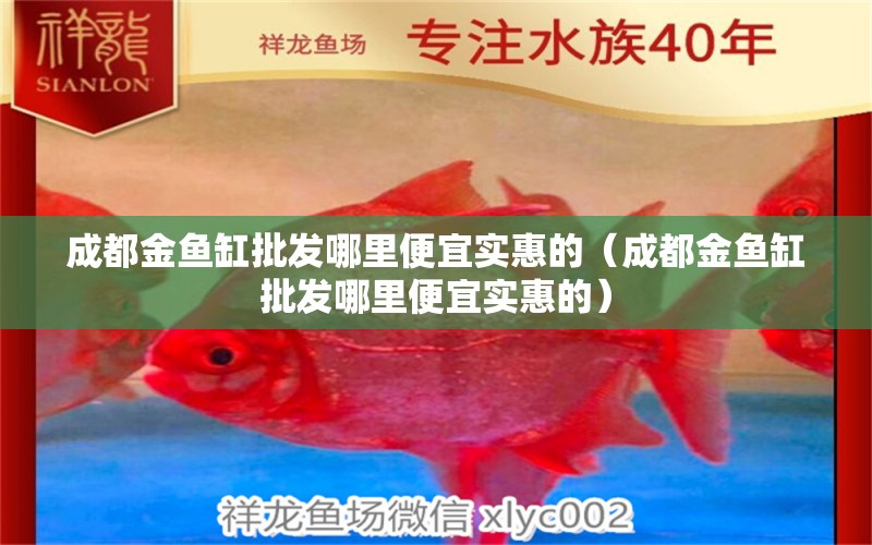 成都金魚缸批發(fā)哪里便宜實惠的（成都金魚缸批發(fā)哪里便宜實惠的） 祥龍水族醫(yī)院