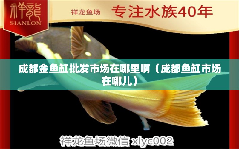 成都金魚缸批發(fā)市場在哪里啊（成都魚缸市場在哪兒） 廣州觀賞魚批發(fā)市場