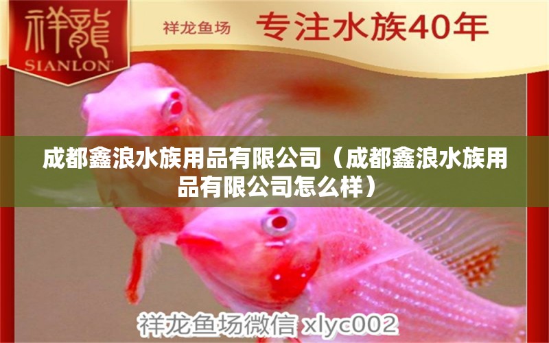 成都鑫浪水族用品有限公司（成都鑫浪水族用品有限公司怎么樣） 水族用品