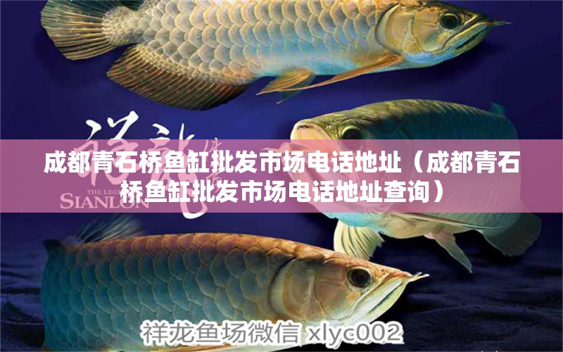 成都青石橋魚缸批發(fā)市場電話地址（成都青石橋魚缸批發(fā)市場電話地址查詢） 祥龍水族醫(yī)院