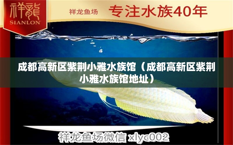 成都高新區(qū)紫荊小雅水族館（成都高新區(qū)紫荊小雅水族館地址）