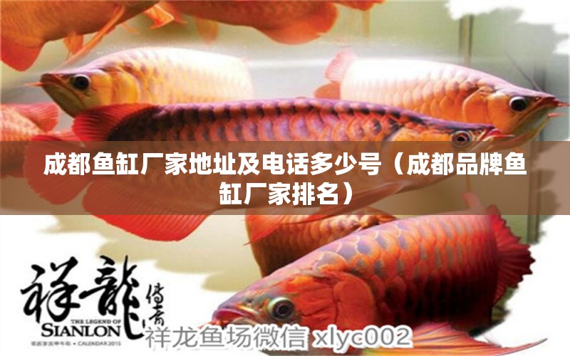 成都魚缸廠家地址及電話多少號（成都品牌魚缸廠家排名）