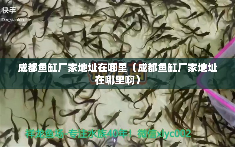 成都魚(yú)缸廠家地址在哪里（成都魚(yú)缸廠家地址在哪里?。? title=