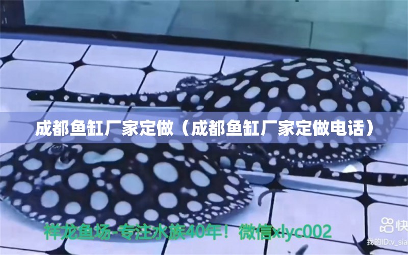 成都魚缸廠家定做（成都魚缸廠家定做電話）