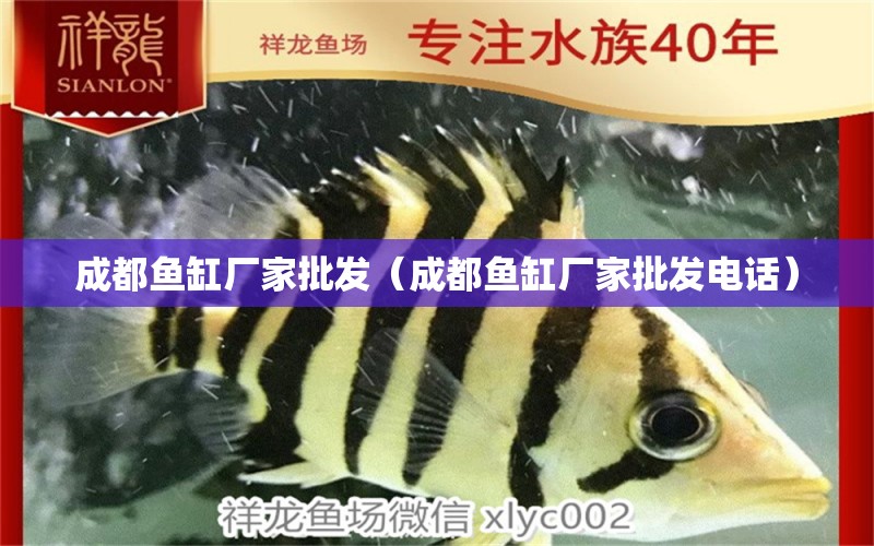 成都魚缸廠家批發(fā)（成都魚缸廠家批發(fā)電話）