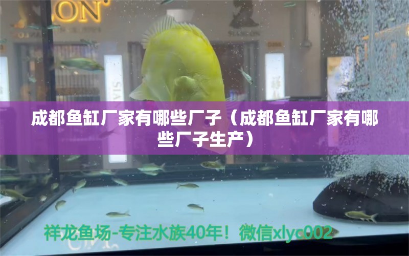 成都魚缸廠家有哪些廠子（成都魚缸廠家有哪些廠子生產(chǎn)）