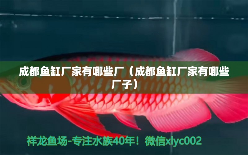 成都魚缸廠家有哪些廠（成都魚缸廠家有哪些廠子） 其他品牌魚缸