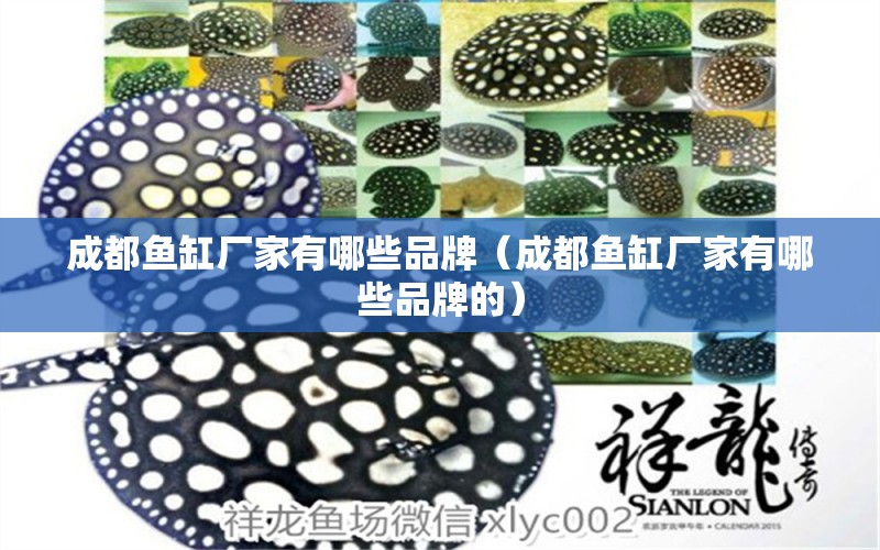 成都魚缸廠家有哪些品牌（成都魚缸廠家有哪些品牌的） 其他品牌魚缸