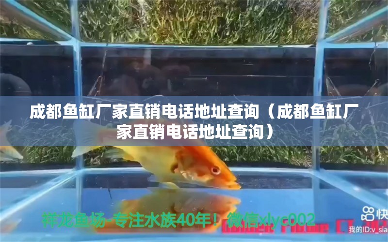 成都魚缸廠家直銷電話地址查詢（成都魚缸廠家直銷電話地址查詢）