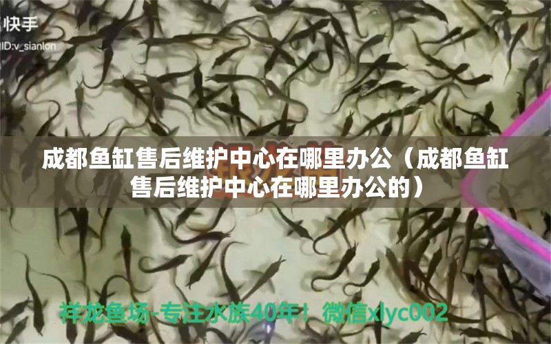 成都魚缸售后維護中心在哪里辦公（成都魚缸售后維護中心在哪里辦公的）