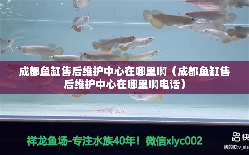 成都魚缸售后維護中心在哪里?。ǔ啥剪~缸售后維護中心在哪里啊電話）