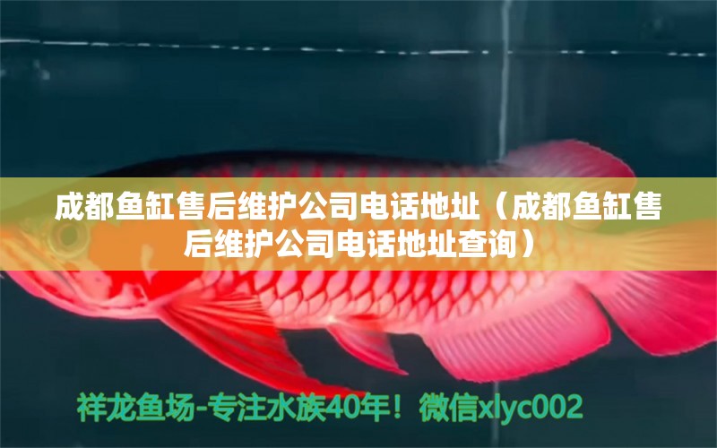 成都魚缸售后維護(hù)公司電話地址（成都魚缸售后維護(hù)公司電話地址查詢）