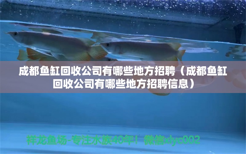 成都魚(yú)缸回收公司有哪些地方招聘（成都魚(yú)缸回收公司有哪些地方招聘信息）