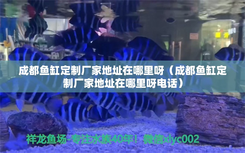 成都魚缸定制廠家地址在哪里呀（成都魚缸定制廠家地址在哪里呀電話）