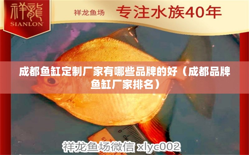 成都魚缸定制廠家有哪些品牌的好（成都品牌魚缸廠家排名）