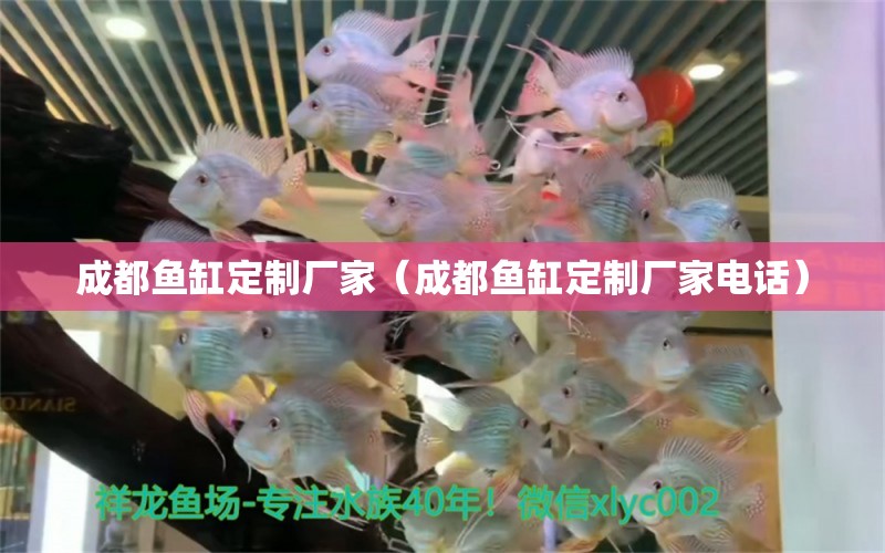 成都魚缸定制廠家（成都魚缸定制廠家電話）