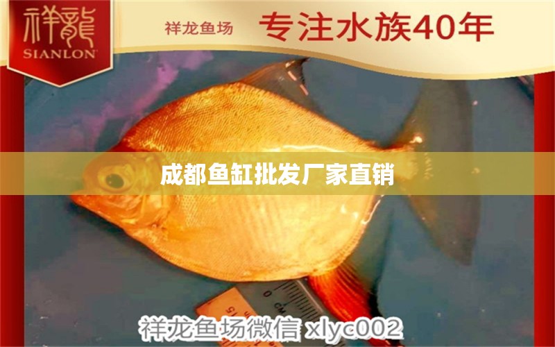 成都魚缸批發(fā)廠家直銷