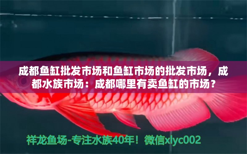 成都魚(yú)缸批發(fā)市場(chǎng)和魚(yú)缸市場(chǎng)的批發(fā)市場(chǎng)，成都水族市場(chǎng)：成都哪里有賣(mài)魚(yú)缸的市場(chǎng)？ 魚(yú)缸百科 第2張